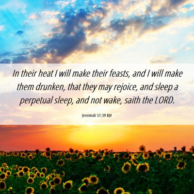 Picture 06 - Jeremiah 51:39 KJV - In their heat I will make their feasts, and I - Bible Verse Picture