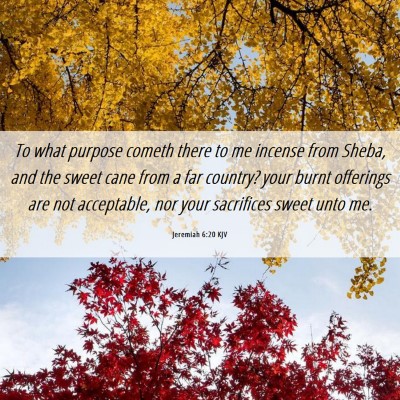 Picture 06 - Jeremiah 6:20 KJV - To what purpose cometh there to me incense from - Bible Verse Picture