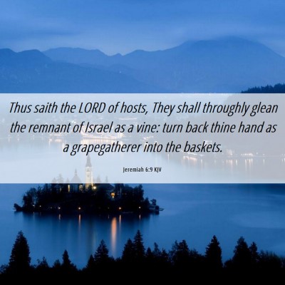 Picture 06 - Jeremiah 6:9 KJV - Thus saith the LORD of hosts, They shall - Bible Verse Picture