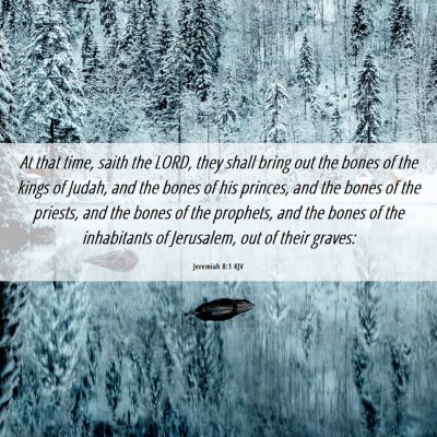 Picture 06 - Jeremiah 8:1 KJV - At that time, saith the LORD, they shall bring - Bible Verse Picture