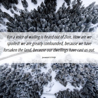 Picture 06 - Jeremiah 9:19 KJV - For a voice of wailing is heard out of Zion, How - Bible Verse Picture