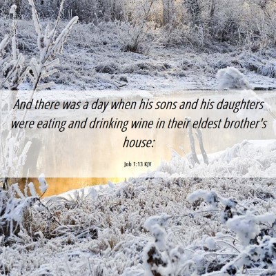Picture 06 - Job 1:13 KJV - And there was a day when his sons and his - Bible Verse Picture