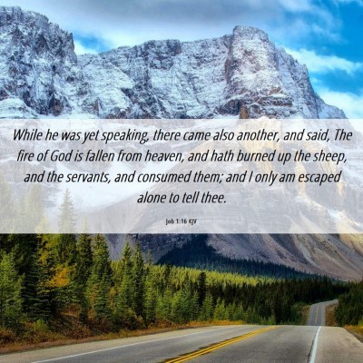 Picture 06 - Job 1:16 KJV - While he was yet speaking, there came also - Bible Verse Picture
