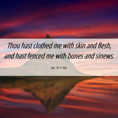 Picture 06 - Job 10:11 KJV - Thou hast clothed me with skin and flesh, and - Bible Verse Picture