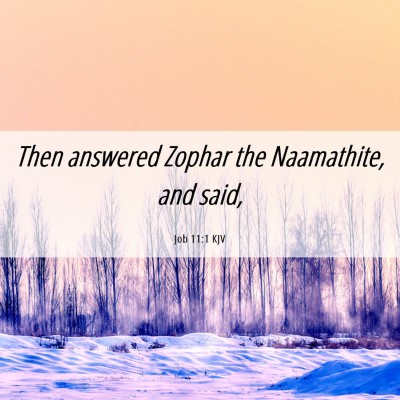 Picture 06 - Job 11:1 KJV - Then answered Zophar the Naamathite, and - Bible Verse Picture