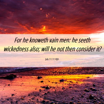 Picture 06 - Job 11:11 KJV - For he knoweth vain men: he seeth wickedness - Bible Verse Picture