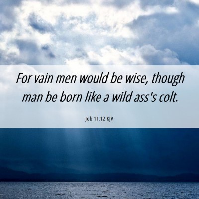 Picture 06 - Job 11:12 KJV - For vain men would be wise, though man be born - Bible Verse Picture