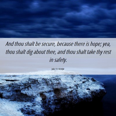 Picture 06 - Job 11:18 KJV - And thou shalt be secure, because there is hope; - Bible Verse Picture