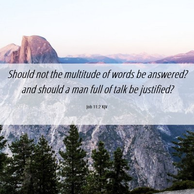 Picture 06 - Job 11:2 KJV - Should not the multitude of words be answered? - Bible Verse Picture
