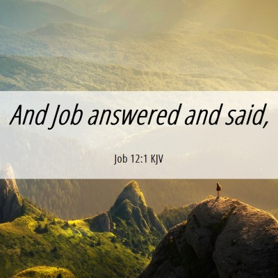 Picture 06 - Job 12:1 KJV - And Job answered and - Bible Verse Picture