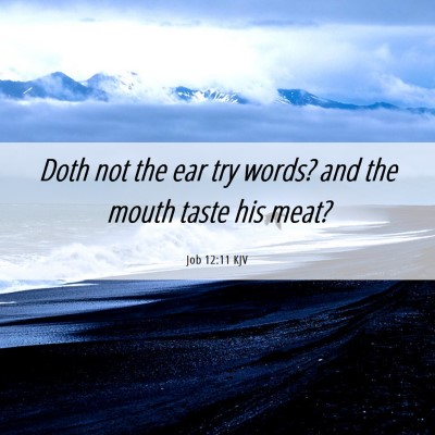 Picture 06 - Job 12:11 KJV - Doth not the ear try words? and the mouth taste - Bible Verse Picture