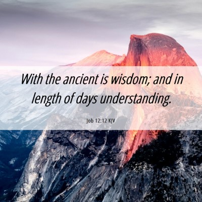 Picture 06 - Job 12:12 KJV - With the ancient is wisdom; and in length of days - Bible Verse Picture
