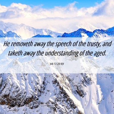 Picture 06 - Job 12:20 KJV - He removeth away the speech of the trusty, and - Bible Verse Picture