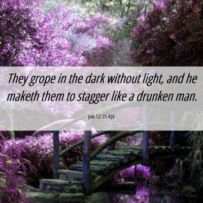 Picture 06 - Job 12:25 KJV - They grope in the dark without light, and he - Bible Verse Picture