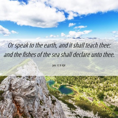 Picture 06 - Job 12:8 KJV - Or speak to the earth, and it shall teach thee: - Bible Verse Picture
