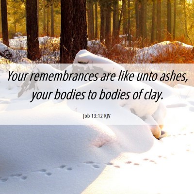 Picture 06 - Job 13:12 KJV - Your remembrances are like unto ashes, your - Bible Verse Picture