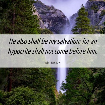 Picture 06 - Job 13:16 KJV - He also shall be my salvation: for an hypocrite - Bible Verse Picture