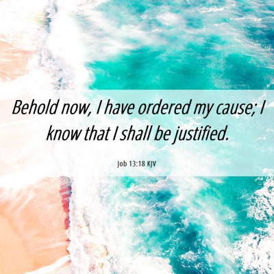 Picture 06 - Job 13:18 KJV - Behold now, I have ordered my cause; I know that - Bible Verse Picture