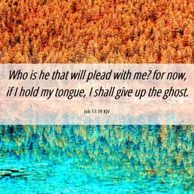 Picture 06 - Job 13:19 KJV - Who is he that will plead with me? for now, if I - Bible Verse Picture