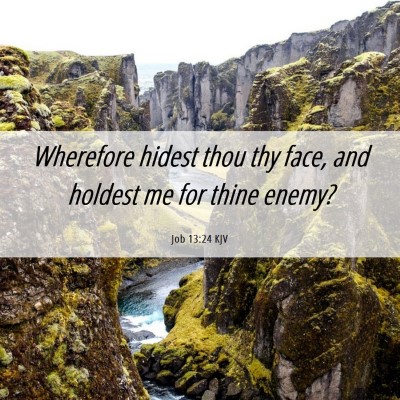 Picture 06 - Job 13:24 KJV - Wherefore hidest thou thy face, and holdest me - Bible Verse Picture