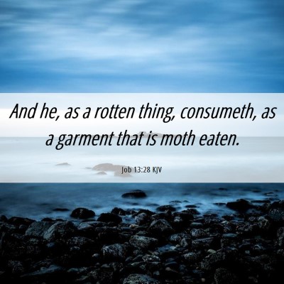 Picture 06 - Job 13:28 KJV - And he, as a rotten thing, consumeth, as a - Bible Verse Picture