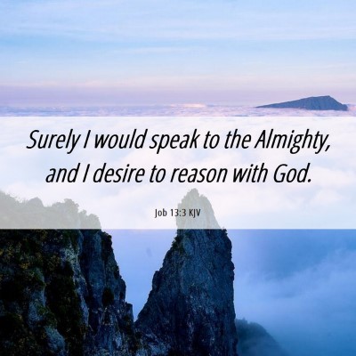 Picture 06 - Job 13:3 KJV - Surely I would speak to the Almighty, and I - Bible Verse Picture