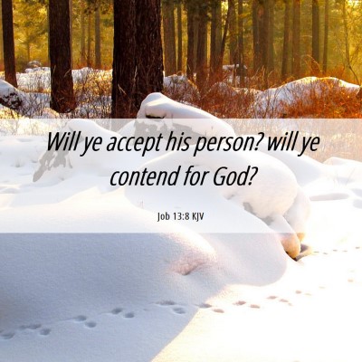 Picture 06 - Job 13:8 KJV - Will ye accept his person? will ye contend for - Bible Verse Picture