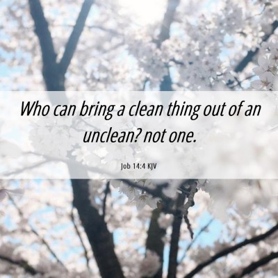 Picture 06 - Job 14:4 KJV - Who can bring a clean thing out of an unclean? - Bible Verse Picture