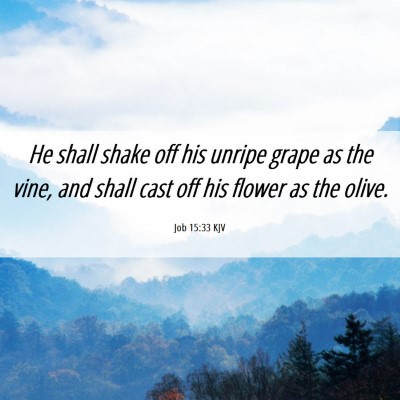 Picture 06 - Job 15:33 KJV - He shall shake off his unripe grape as the vine, - Bible Verse Picture