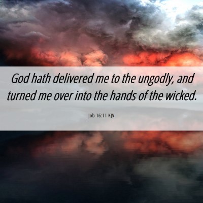Picture 06 - Job 16:11 KJV - God hath delivered me to the ungodly, and turned - Bible Verse Picture