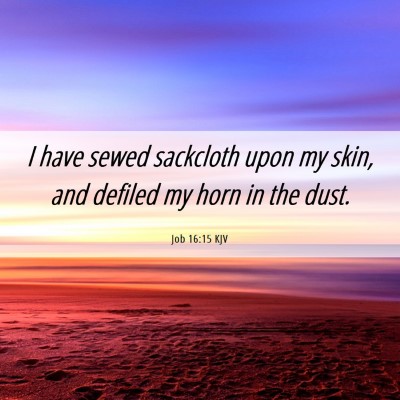 Picture 06 - Job 16:15 KJV - I have sewed sackcloth upon my skin, and defiled - Bible Verse Picture