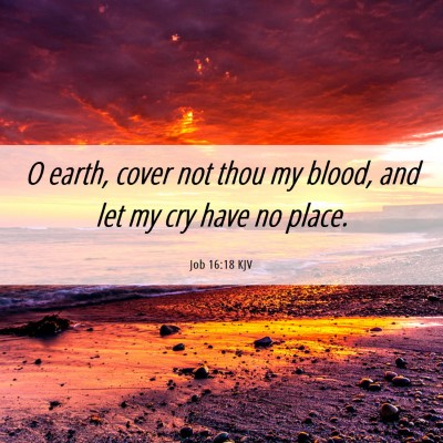 Picture 06 - Job 16:18 KJV - O earth, cover not thou my blood, and let my cry - Bible Verse Picture