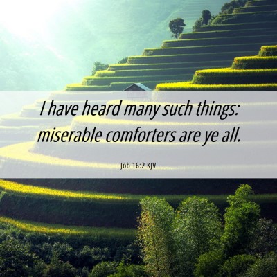 Picture 06 - Job 16:2 KJV - I have heard many such things: miserable - Bible Verse Picture