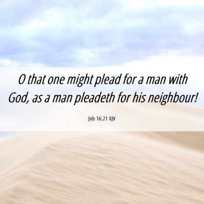 Picture 06 - Job 16:21 KJV - O that one might plead for a man with God, as a - Bible Verse Picture