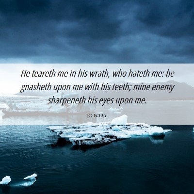 Picture 06 - Job 16:9 KJV - He teareth me in his wrath, who hateth me: he - Bible Verse Picture