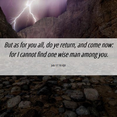 Picture 06 - Job 17:10 KJV - But as for you all, do ye return, and come now: - Bible Verse Picture