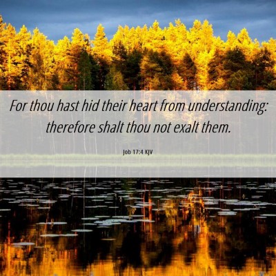 Picture 06 - Job 17:4 KJV - For thou hast hid their heart from understanding: - Bible Verse Picture