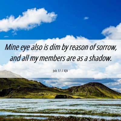 Picture 06 - Job 17:7 KJV - Mine eye also is dim by reason of sorrow, and all - Bible Verse Picture