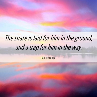 Picture 06 - Job 18:10 KJV - The snare is laid for him in the ground, and a - Bible Verse Picture