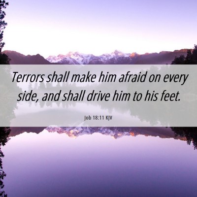 Picture 06 - Job 18:11 KJV - Terrors shall make him afraid on every side, and - Bible Verse Picture
