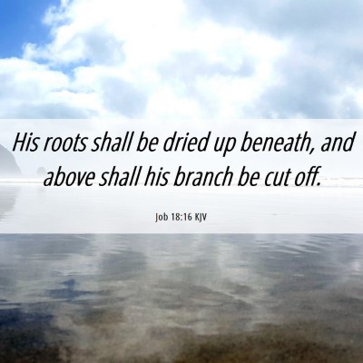 Picture 06 - Job 18:16 KJV - His roots shall be dried up beneath, and above - Bible Verse Picture