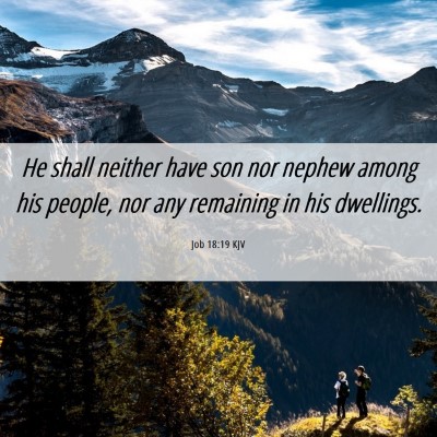 Picture 06 - Job 18:19 KJV - He shall neither have son nor nephew among his - Bible Verse Picture