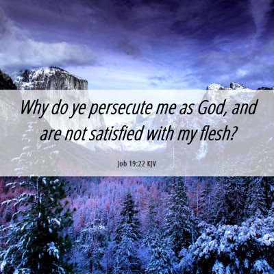 Picture 06 - Job 19:22 KJV - Why do ye persecute me as God, and are not - Bible Verse Picture