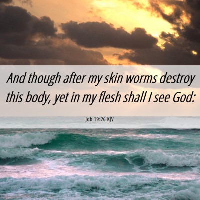 Picture 06 - Job 19:26 KJV - And though after my skin worms destroy this body, - Bible Verse Picture