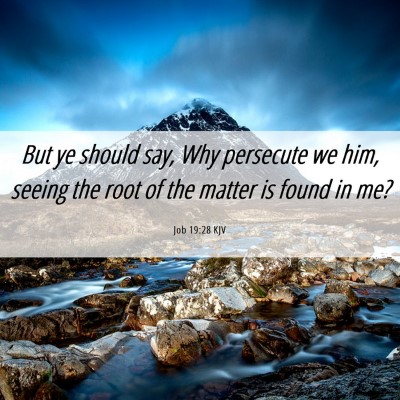 Picture 06 - Job 19:28 KJV - But ye should say, Why persecute we him, seeing - Bible Verse Picture