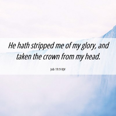 Picture 06 - Job 19:9 KJV - He hath stripped me of my glory, and taken the - Bible Verse Picture