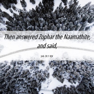 Picture 06 - Job 20:1 KJV - Then answered Zophar the Naamathite, and - Bible Verse Picture