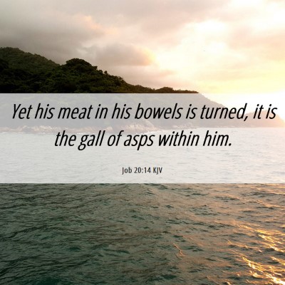 Picture 06 - Job 20:14 KJV - Yet his meat in his bowels is turned, it is the - Bible Verse Picture