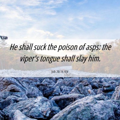 Picture 06 - Job 20:16 KJV - He shall suck the poison of asps: the viper's - Bible Verse Picture