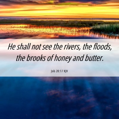 Picture 06 - Job 20:17 KJV - He shall not see the rivers, the floods, the - Bible Verse Picture